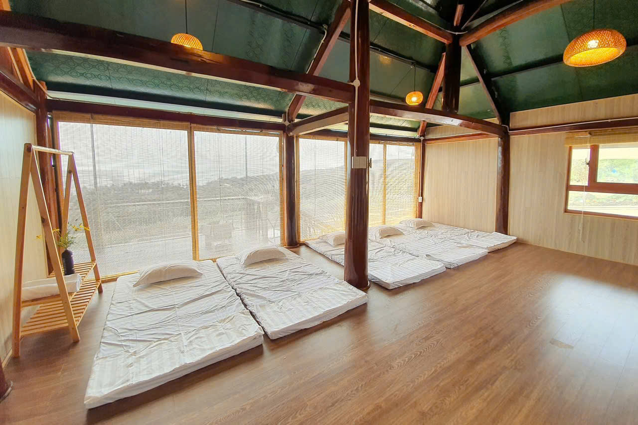 z6233067584315_ed4ff592e2dc62f45a29054adbbc123e